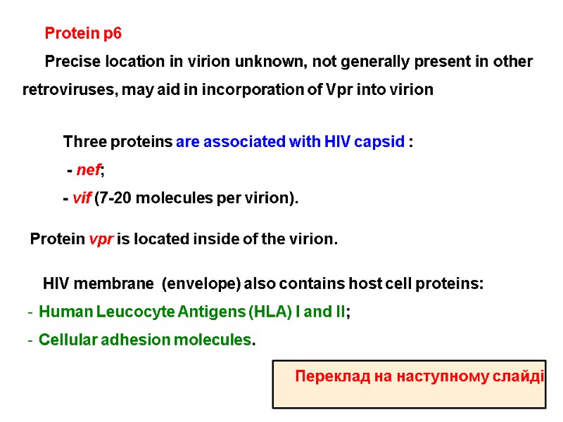 Three proteins are associated with HIV capsid :  - nef; - vif (7-20